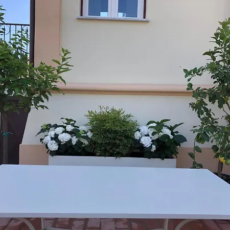 Apartment In Centro Alassio